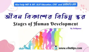 Stages of Human Development