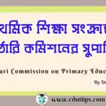 Kothari Commission on Primary Education