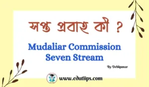 Seven Stream