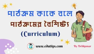 Curriculum