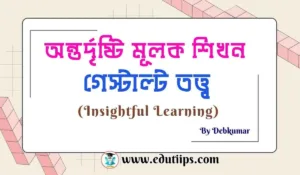 Insightful Learning
