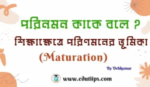 Maturation