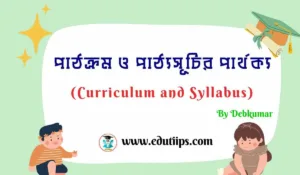 Curriculum and Syllabus
