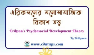 Erikson's Psychosocial Development Theory