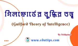 Guilford Theory of Intelligence