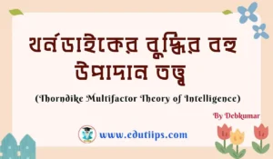 Thorndike Multifactor Theory of Intelligence