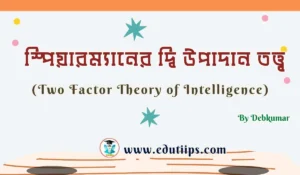 Two Factor Theory of Intelligence