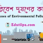 Causes of Environmental Pollution