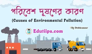 Causes of Environmental Pollution