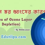 Causes of Ozone Layer Depletion