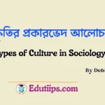 Types of Culture in Sociology