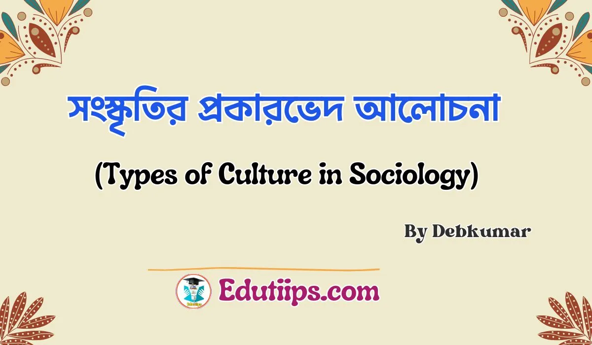 Types of Culture in Sociology