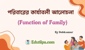 Function of Family in Sociology