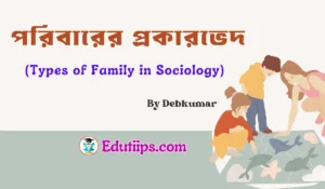 Types of Family in Sociology