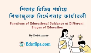 Functions of Educational Guidance at Different Stages