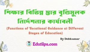 Functions of Vocational Guidance at Different Stages of Education