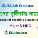 CU BA 6th Sem Aspect of Teaching Suggestion (Major & Minor) by Edutiips